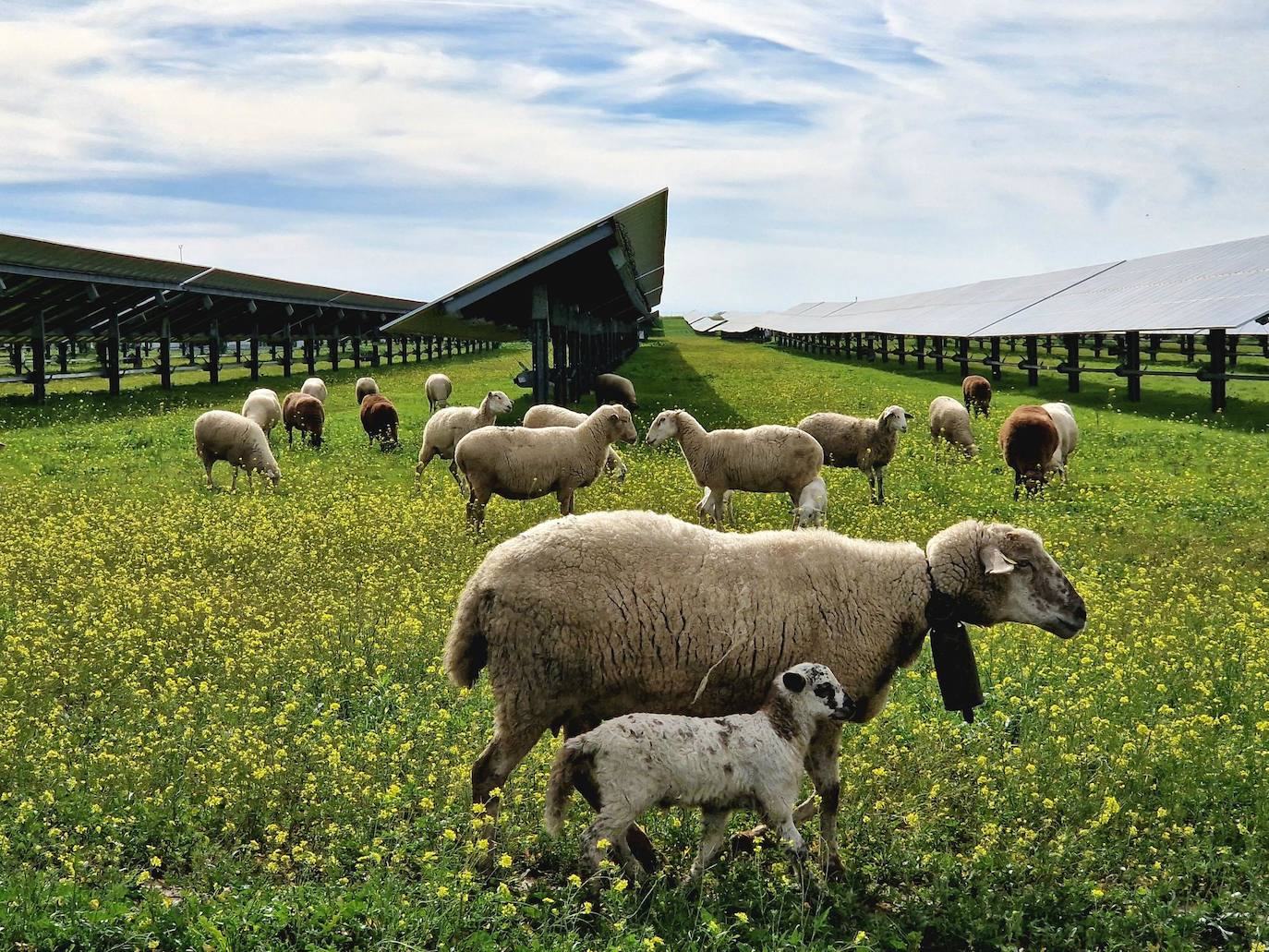 La empresa consolida su presencia en Extremadura.