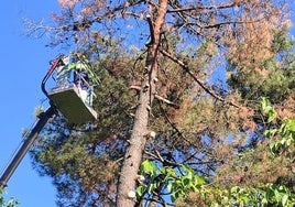 Talayuela acomete obras de mantenimiento en varios puntos del municipio  