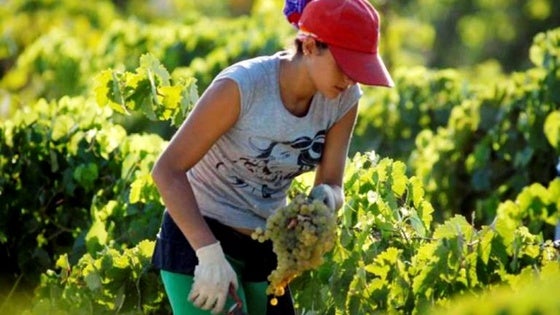 El Sexpe organiza un curso reservado a mujeres rurales