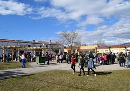 Ambiente en Barquilla de Pinares
