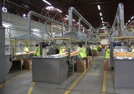 Instalaciones de Cetarsa en Talayuela