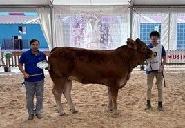 Los ganaderos talayuelanos en Salamanca