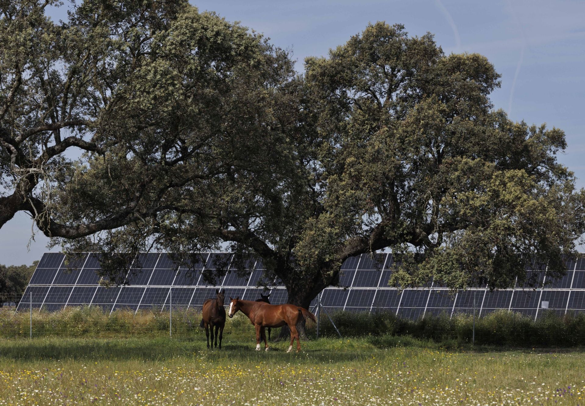 La instalación es la segunda que Statkraft construye en este municipio cacereño.