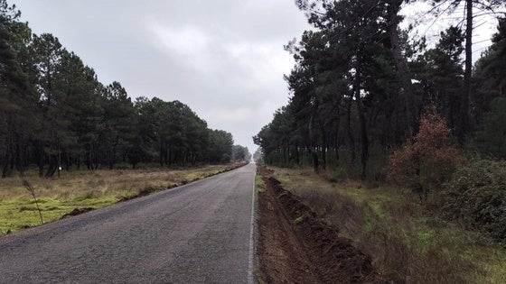 La carretera de la Corta se limpia de maleza