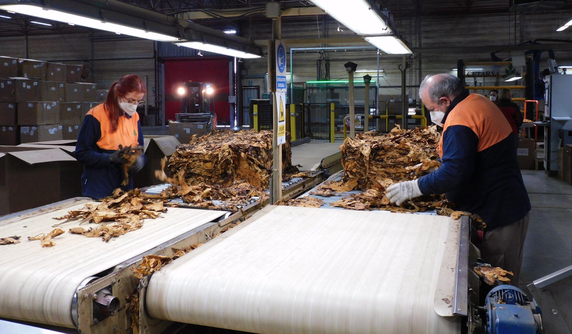 Cetarsa abre sus puertas a los agricultores