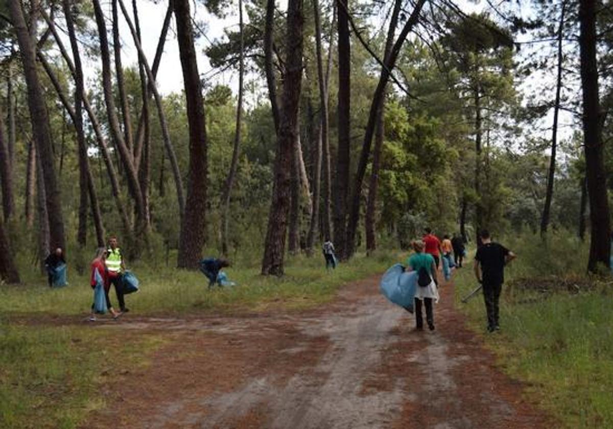 La jornada de limpieza del pinar se pospone para mejor fecha