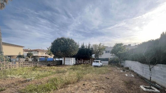 Se hace público el bando de limpieza y mantenimiento de solares