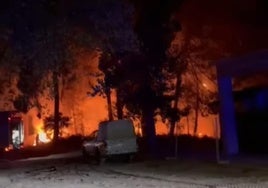 El pinar vuelve a sufrir un incendio un año después