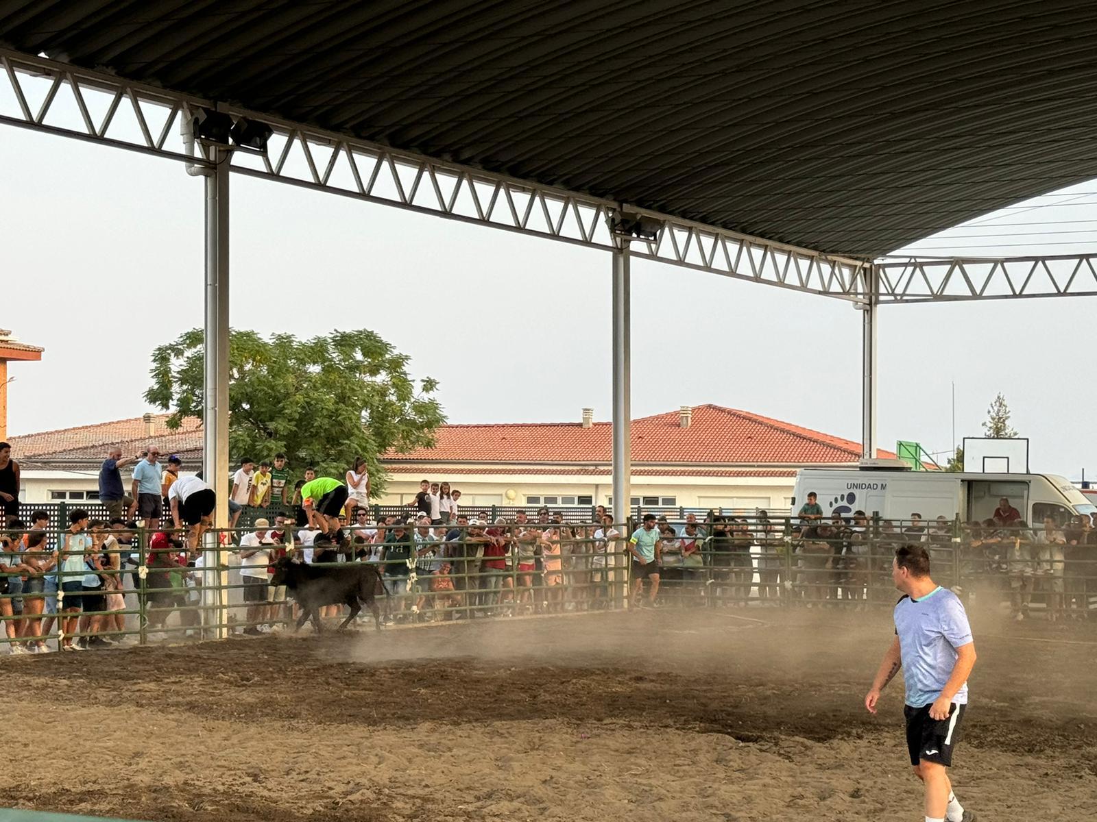 Las fiestas de la Asunción en imágenes para el recuerdo