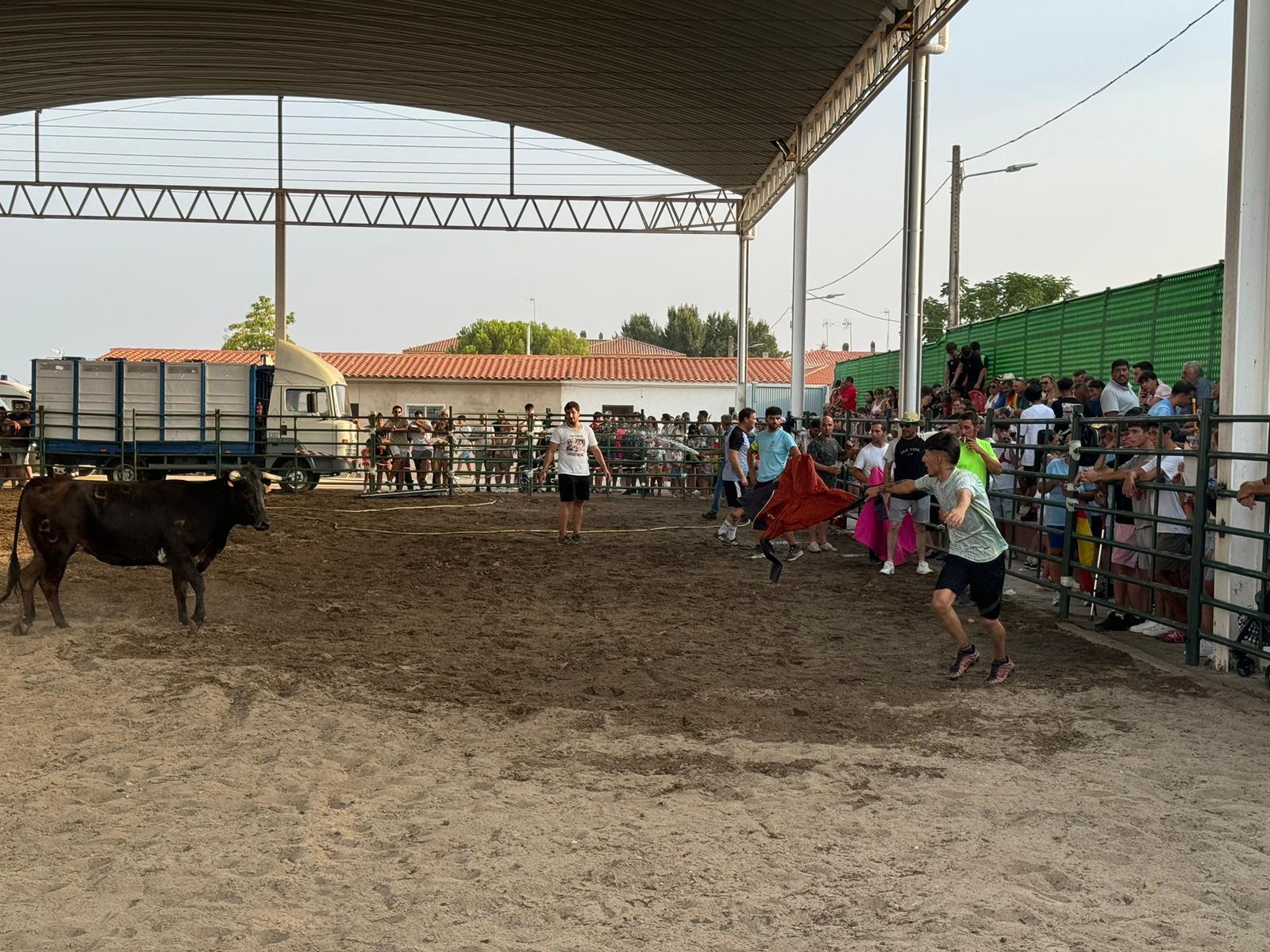 Las fiestas de la Asunción en imágenes para el recuerdo