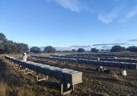 La compañía Statkraft crea 'La granja de las abejas'