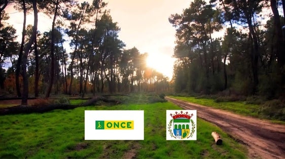 Los pinares de Talayuela, protagonistas del cupón de la ONCE del día 28