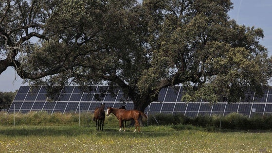Statkraft abre la convocatoria de sus becas 'Atrayendo Talento' en Talayuela