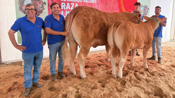 Los Hermanos Ruano vuelven a triunfar, esta vez en Salamanca