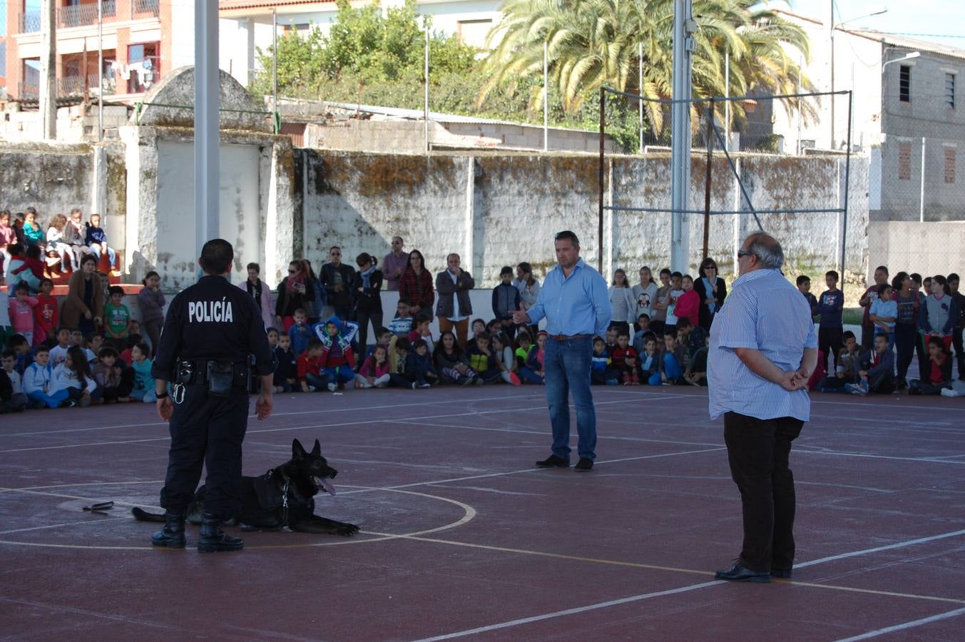 Los nueve animales participantes sorprendieron a pequeños y mayores 
