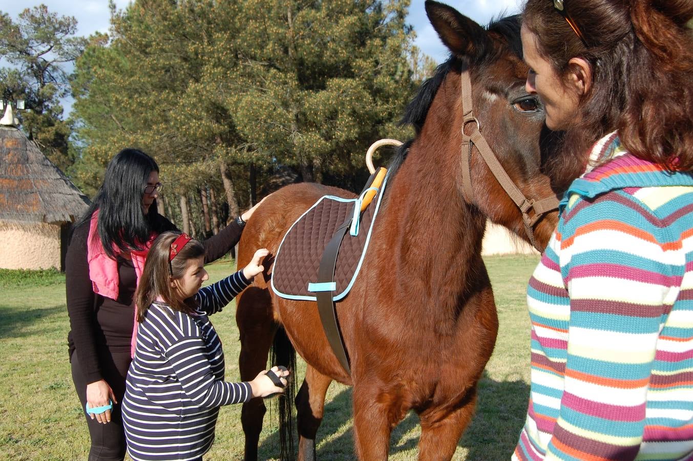 «El caballo es una fuente inagotable de información»