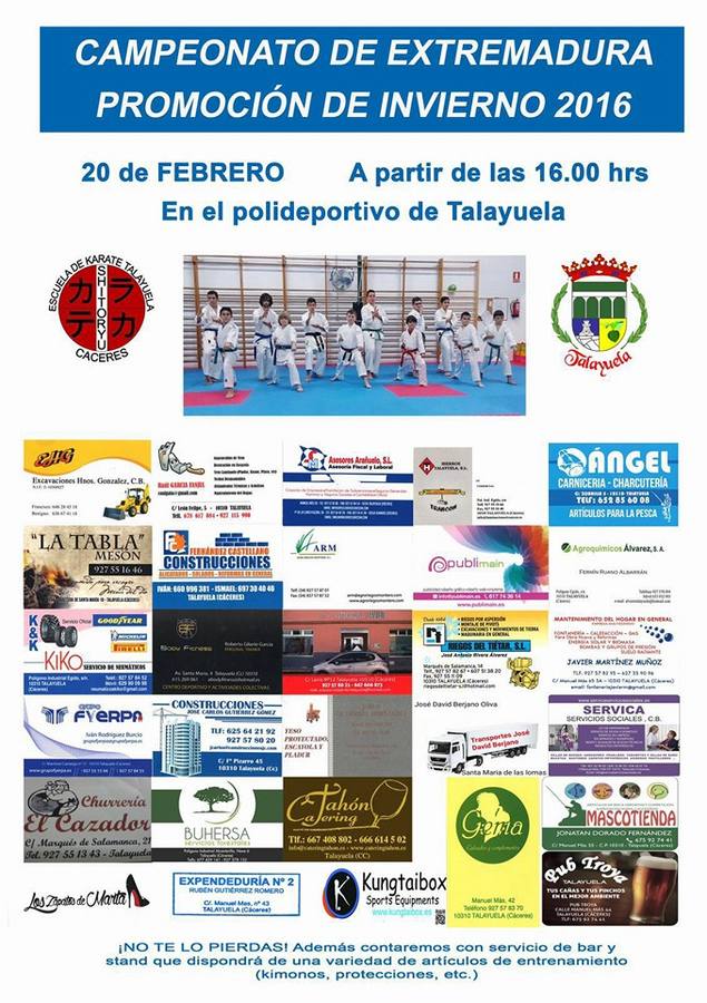 Talayuela, sede del Regional infantil de karate