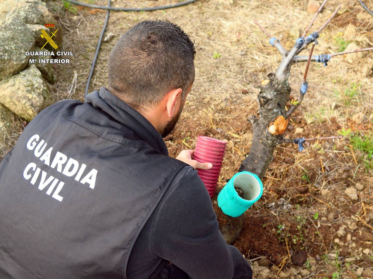 La Guardia Civil detiene a una persona por robo de cobre en Almaraz