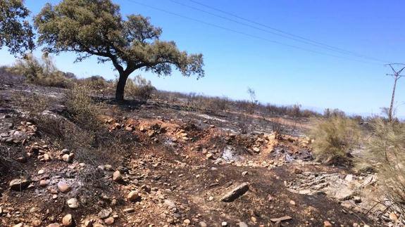 Declarado el nivel 1 por un incendio cercano al municipio de Romangordo 