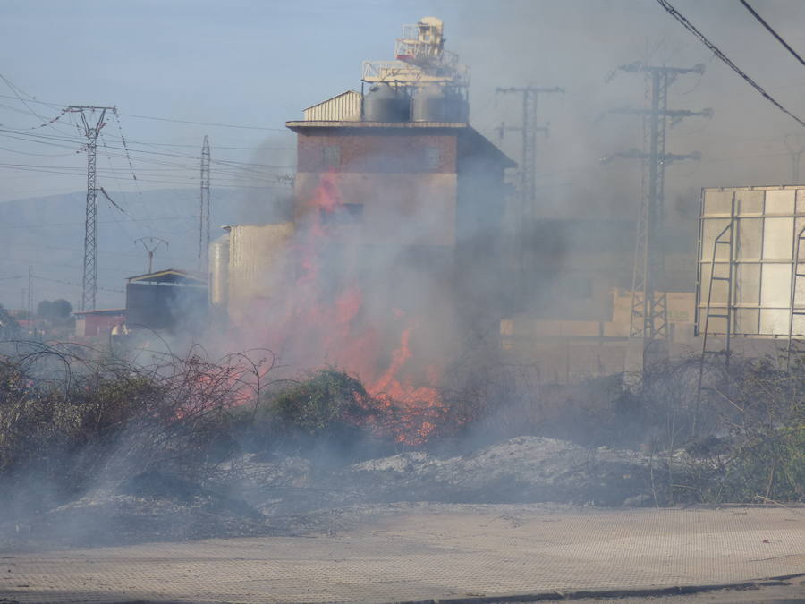 Un incendio de pastos obliga a cortar el tráfico en la carretera de Navalmoral-Rosalejo