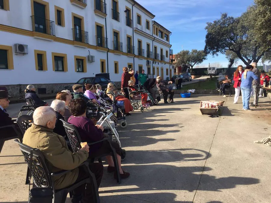 Los mayores de “El Romeral” celebran su popular Matanza Extremeña