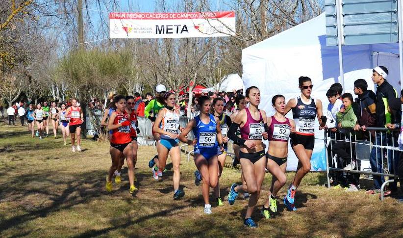 El Gran Premio se disputa cada año en un circuito distinto, en 2014 fue en Torrejoncillo