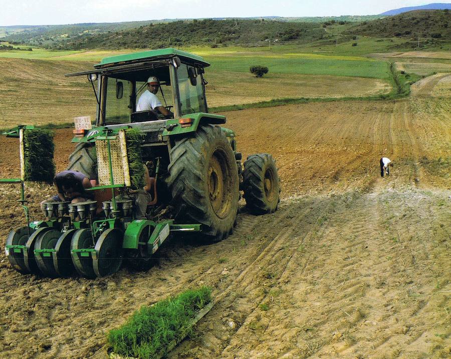 Un agricultor trabajando con un tractor en una finca de Extremadura