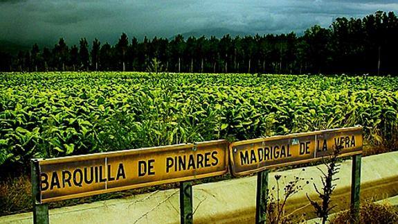 Pueblonuevo de Miramontes decreta tres días de luto por la muerte de un joven vecino en accidente de tráfico