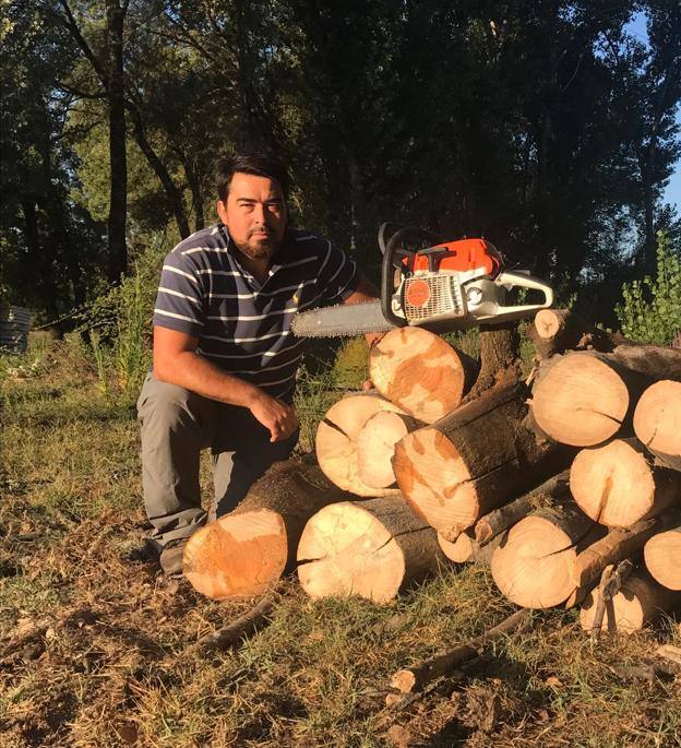 Burcio, en uno de los pinares en los que desarrolla su labor. 