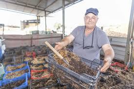 Luis Fernández Brugos muestra las cajas en las que viven las lombrices antes de empezar a elaborar el abono natural