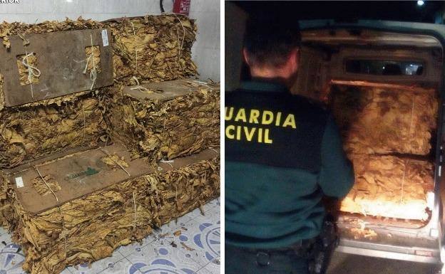 Interceptados 470 kilogramos de hoja seca de tabaco en la Vera