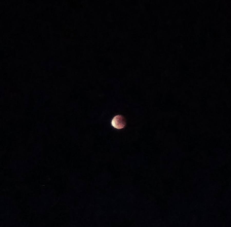 Imagen de la luna en la noche de ayer en Talayuela 