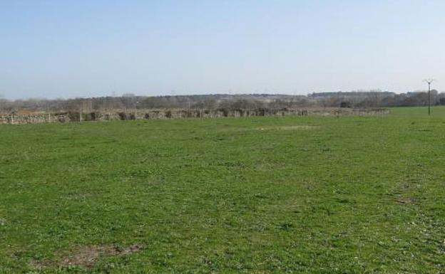 Terrenos para el Refugio de animales, en Malpartida de Plasencia.