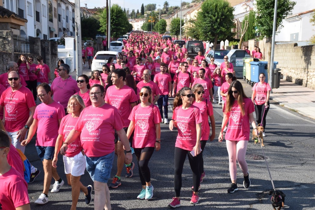 Las calles de la ciudad se tiñeron de rosa, con la celebración ayer de la multitudinaria VIII Marcha Contra el Cáncer. Reunió no solo a vecinos de Trujillo, sino también de diferentes poblaciones de la comarca e incluso, de otras zonas de Extremadura. Al final, se vendieron 3.132 dorsales, una cifra muy parecida a la del año pasado, a un precio de 5 euros. Junto a esos dorsales, se entregaron las camisetas rosas identificativas.