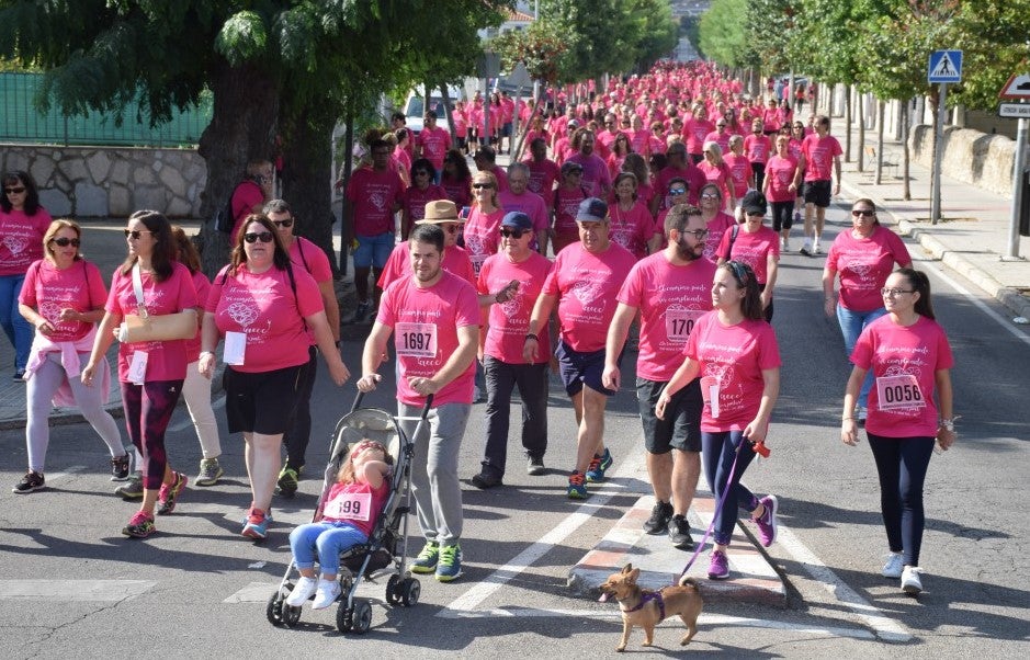 Las calles de la ciudad se tiñeron de rosa, con la celebración ayer de la multitudinaria VIII Marcha Contra el Cáncer. Reunió no solo a vecinos de Trujillo, sino también de diferentes poblaciones de la comarca e incluso, de otras zonas de Extremadura. Al final, se vendieron 3.132 dorsales, una cifra muy parecida a la del año pasado, a un precio de 5 euros. Junto a esos dorsales, se entregaron las camisetas rosas identificativas.