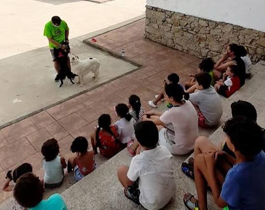 Una de las actividades con la protectora 