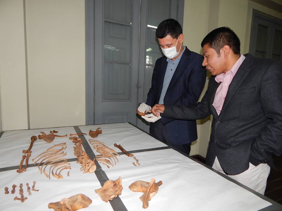 Hernando Orellana en una visita a Perú, viendo uno de los estudios.