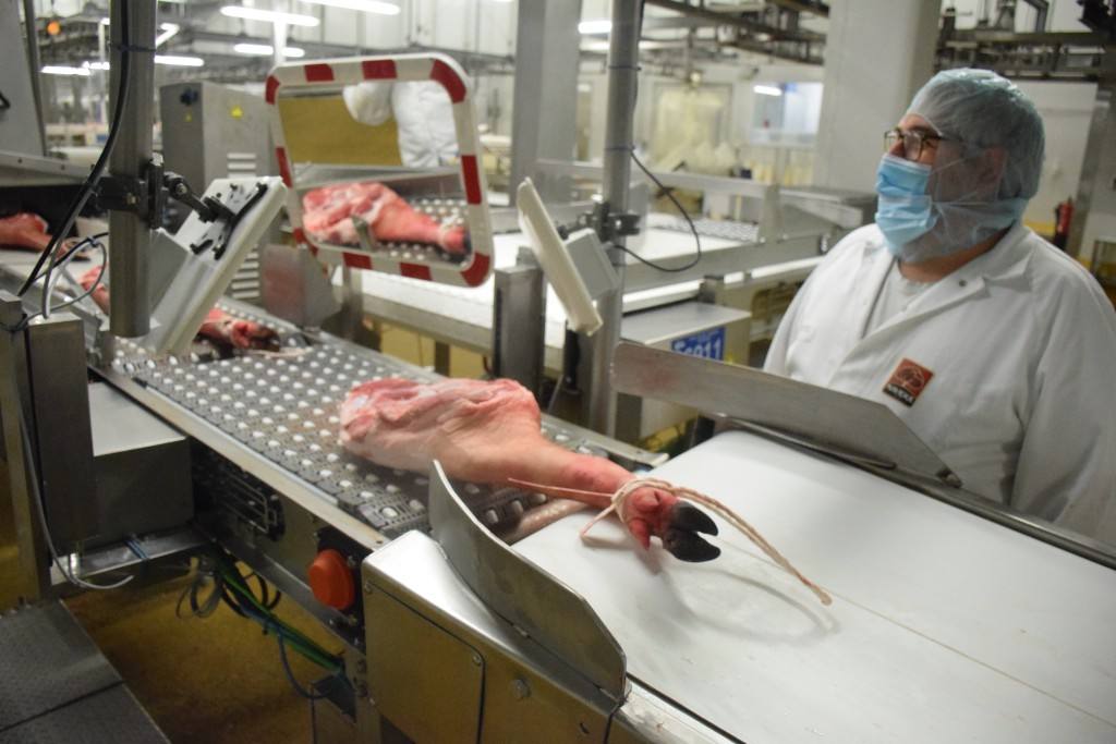 Imagen secundaria 1 - Parte del proceso del jamón y las paletillas ibéricas con la nueva tecnología 