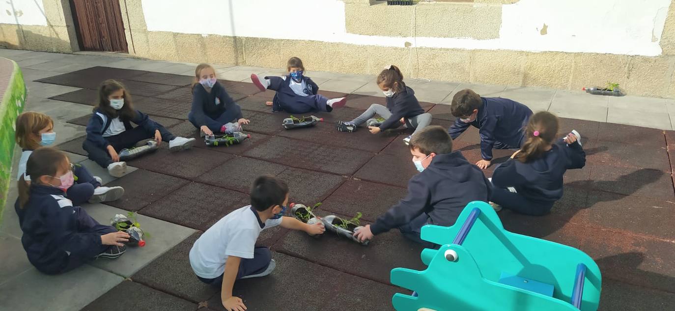lumnado trabajando con sus 'huertos' 