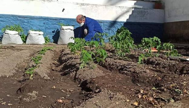 Un usuario trabaja en el huerto. 