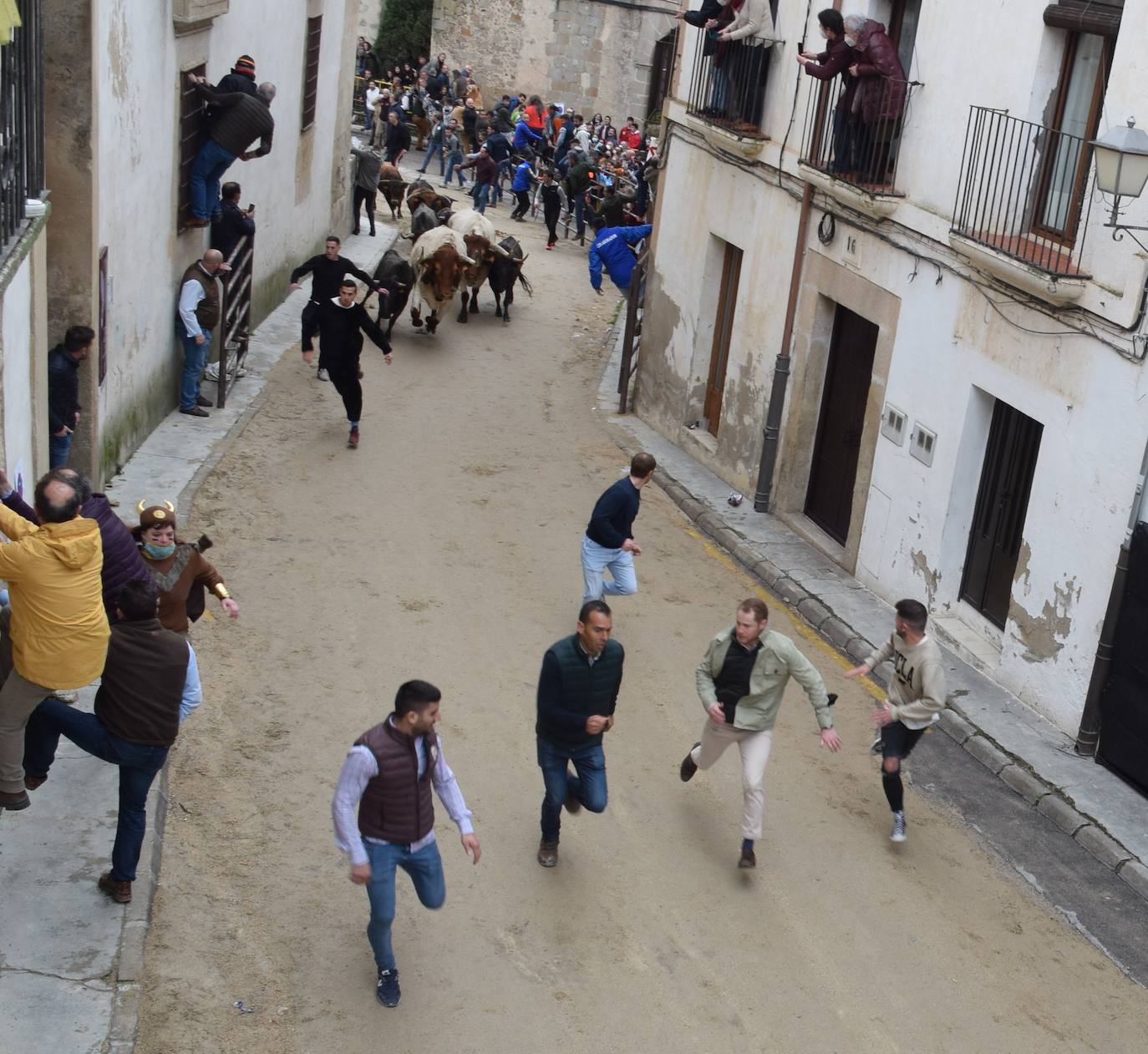 Imagen secundaria 2 - Cientos de personas se echan a la calle para disfrutar de una jornada de capea y encierros