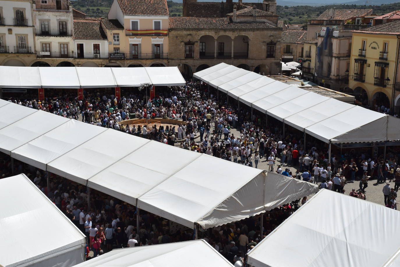 Fotos: Premiados en la Feria del Queso de Trujillo 2022