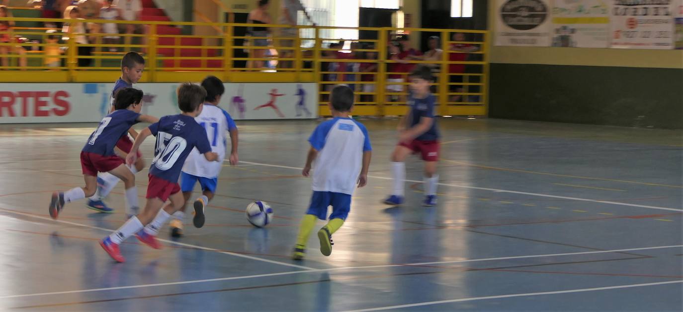 Torneo de 24 horas fútbol sala, de distintas categorías 