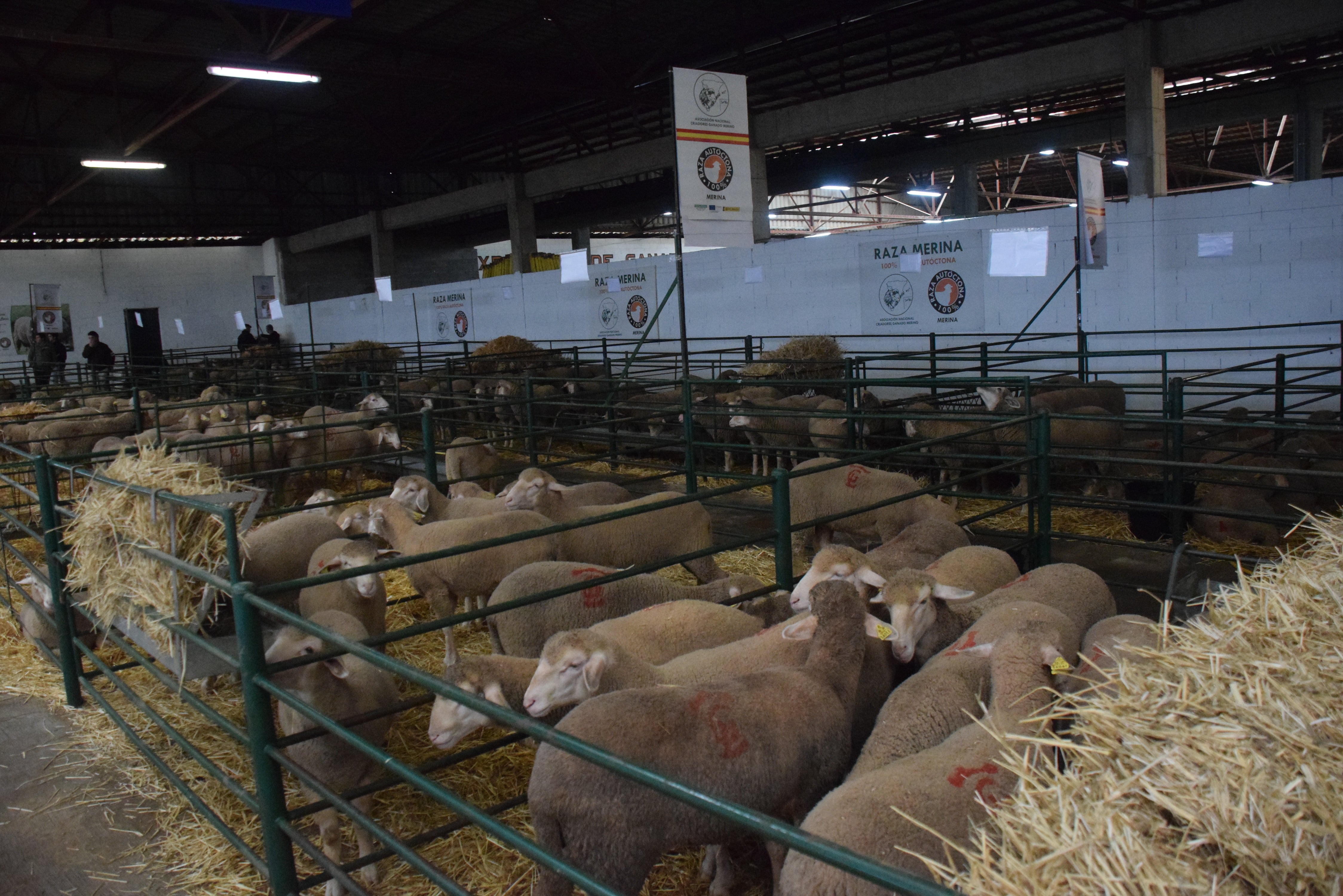 Fotos: ¿Estuviste en la Feria Agroganadera?