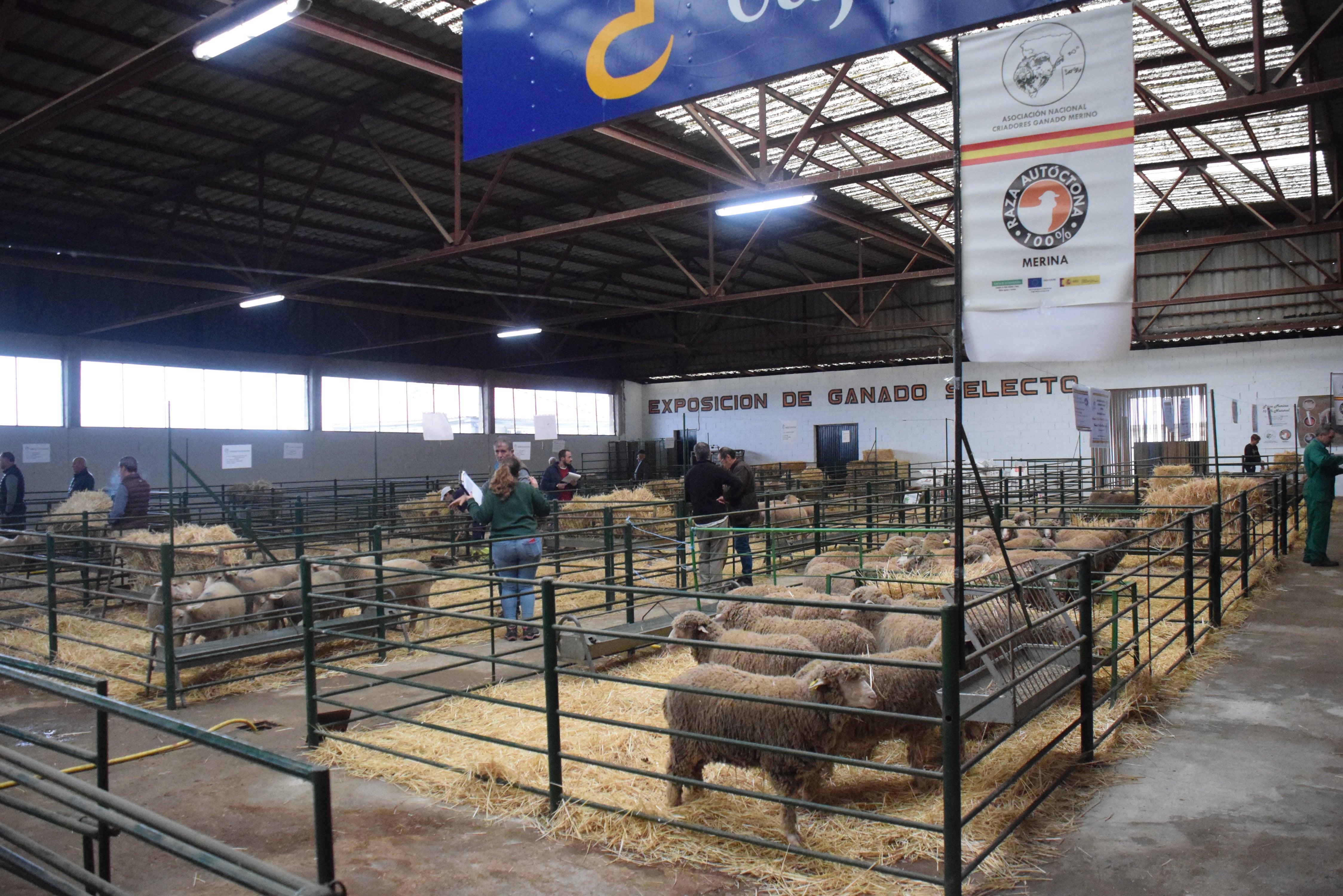 Fotos: ¿Estuviste en la Feria Agroganadera?