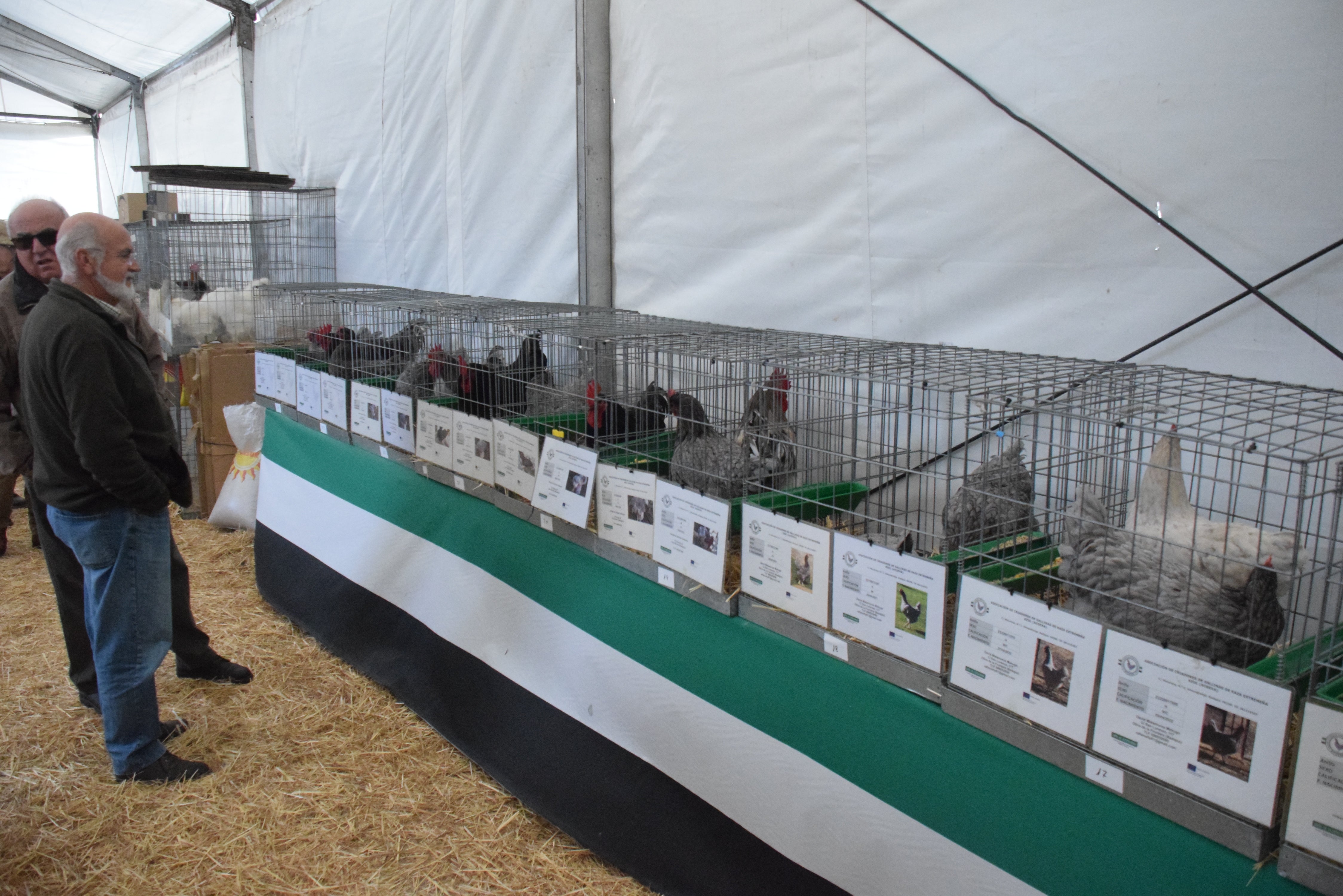 Fotos: ¿Estuviste en la Feria Agroganadera?
