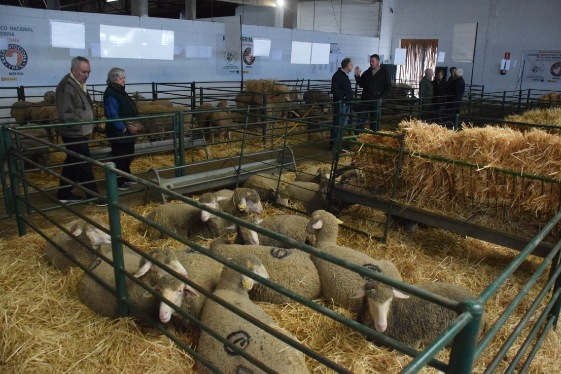 Fotos: ¿Estuviste en la Feria Agroganadera?