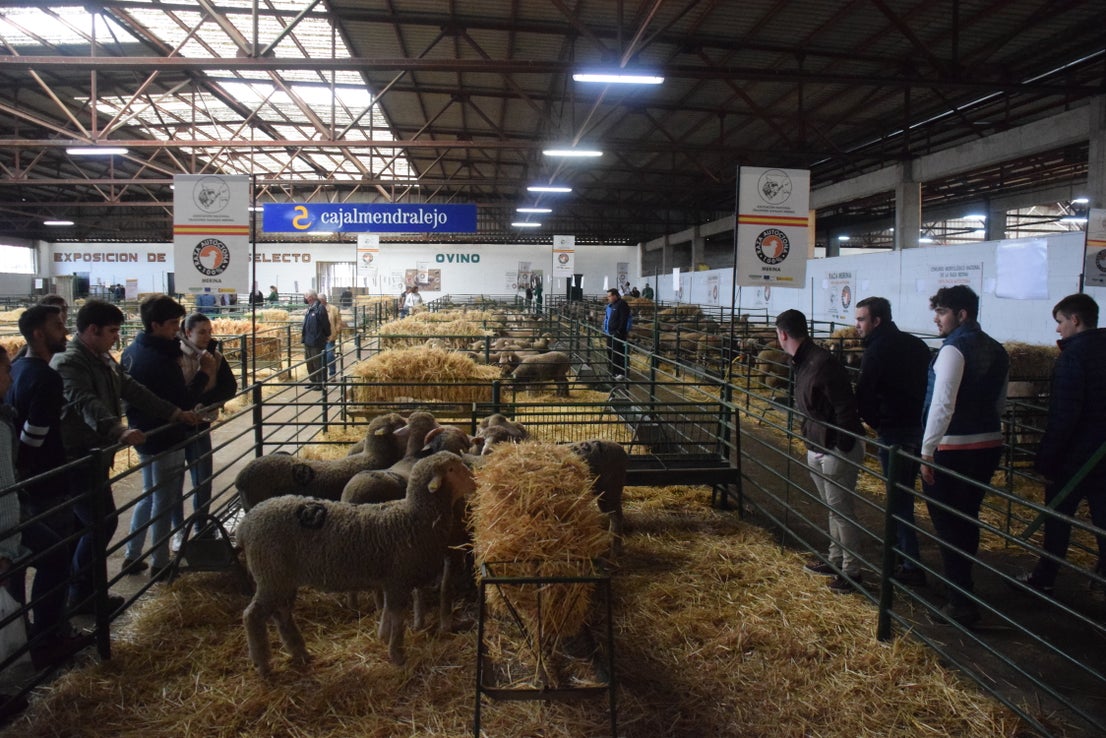 Fotos: ¿Estuviste en la Feria Agroganadera?