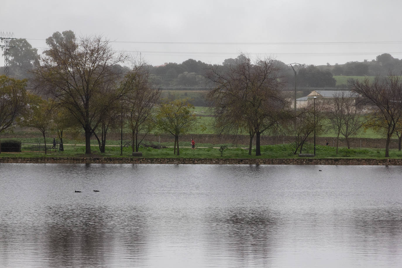 Fotos: I edición de la San Silvestre escolar