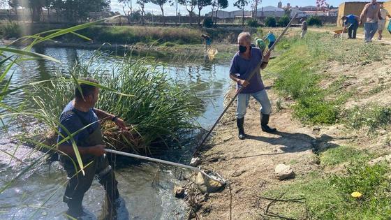 Voluntarios retiran los peces muertos que han aparecido en la charca de San Lázaro